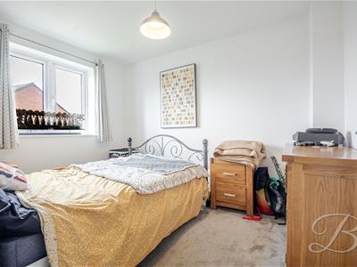 Picture 23